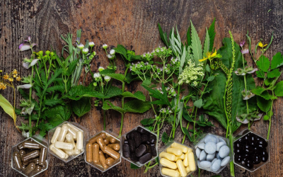 Compléments alimentaires 2024 innovations personnalisation et vigilance scientifique au cœur